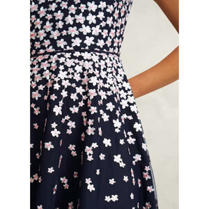 Hobbs Betty Embroidered Dress